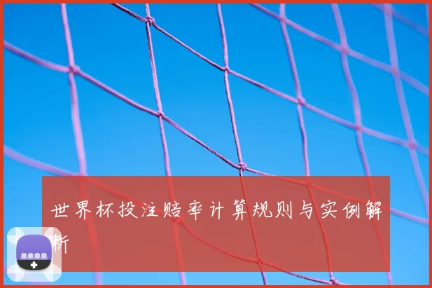 世界杯投注赔率计算规则与实例解析