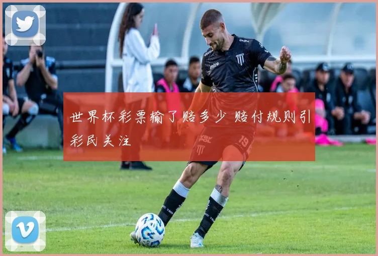 世界杯彩票输了赔多少 赔付规则引彩民关注